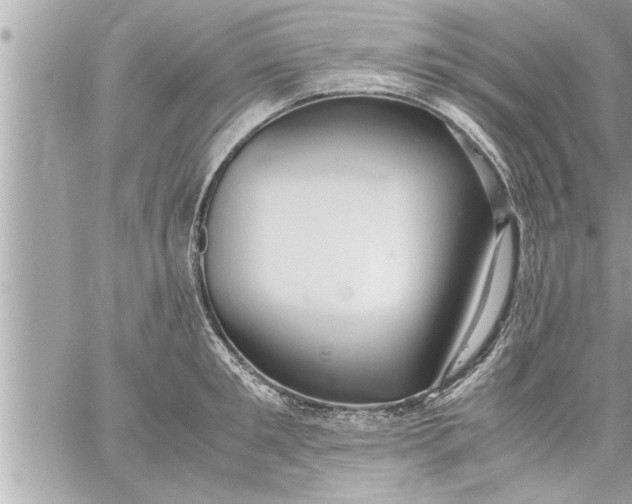 X0000059850901200511111808