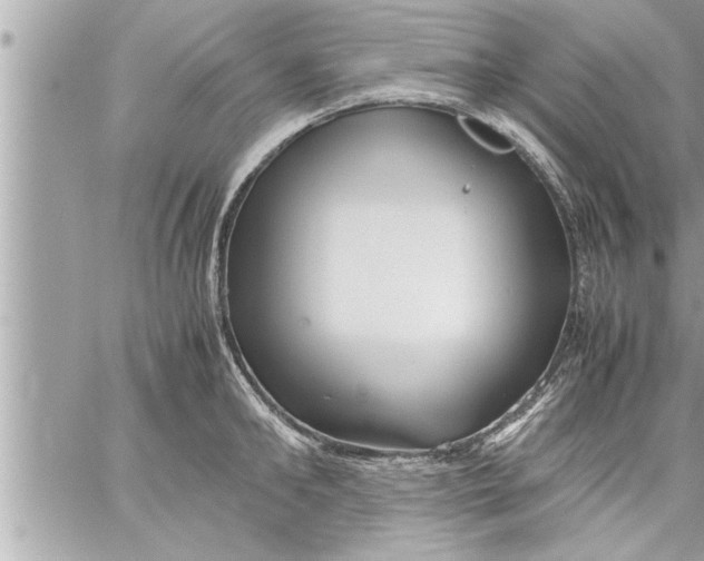 X0000059850902200511111808