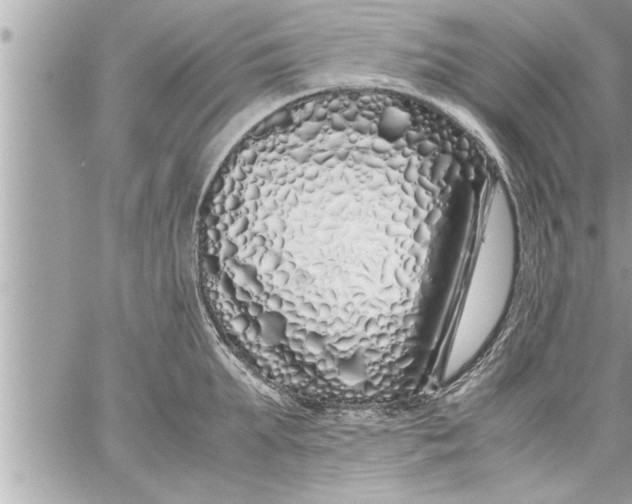 X0000059850903200511111808