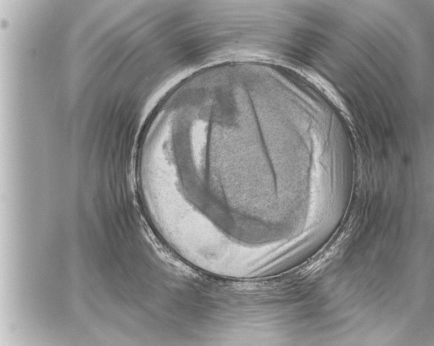 X0000059850904200511111808