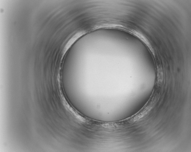 X0000059850906200511111808