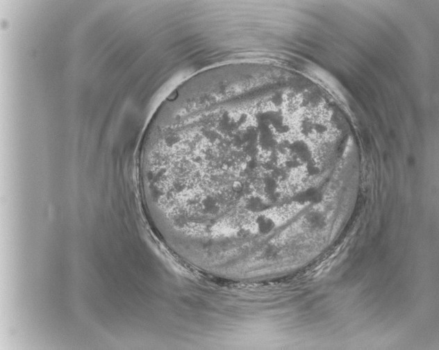 X0000059850907200511111808