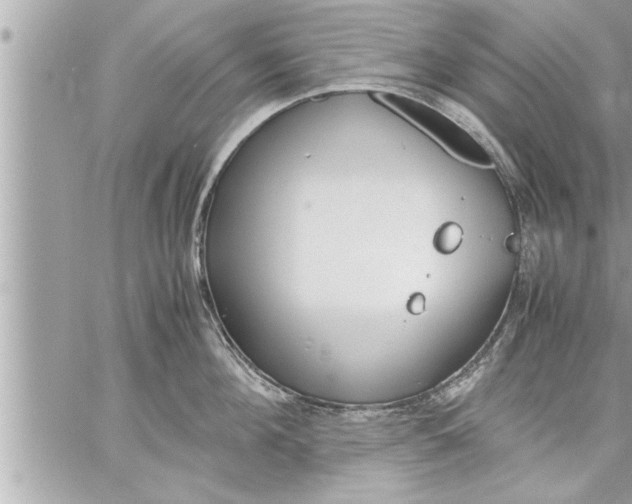 X0000059850908200511111808