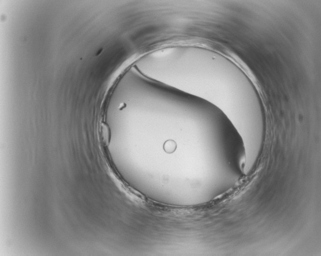 X0000059850909200511111808