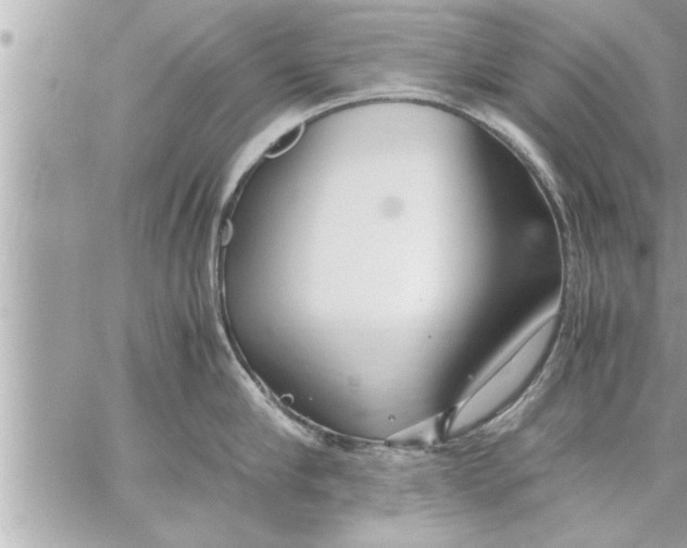 X0000059850910200511111808