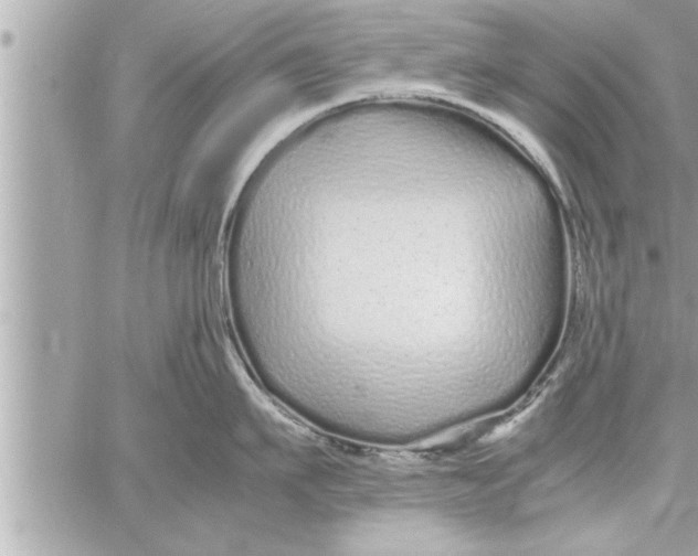 X0000059850911200511111808