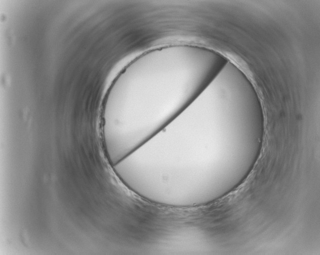 X0000059850912200511111808