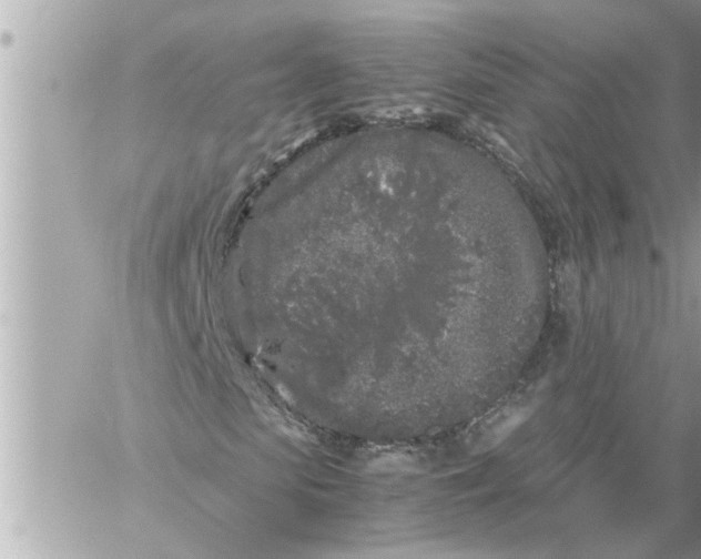 X0000059850913200511111807