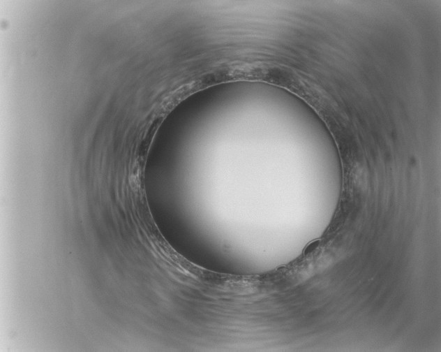 X0000059850914200511111807