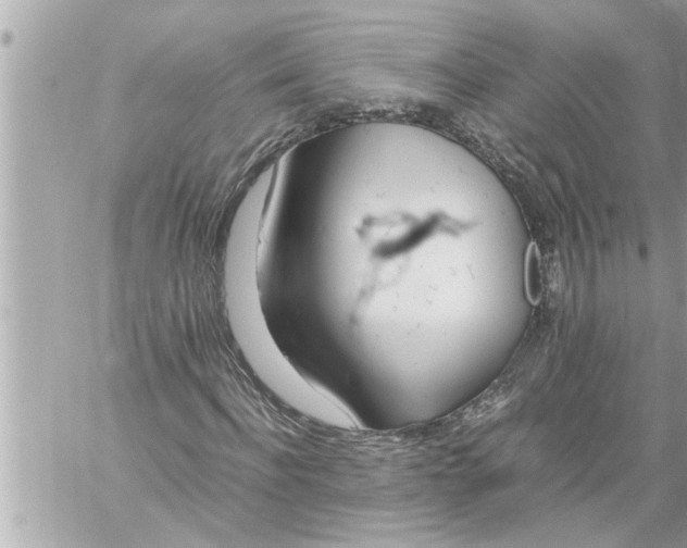 X0000059850916200511111807