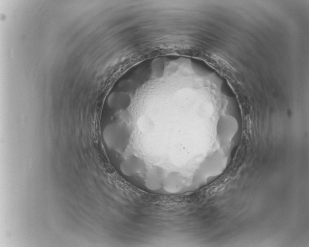 X0000059850917200511111807