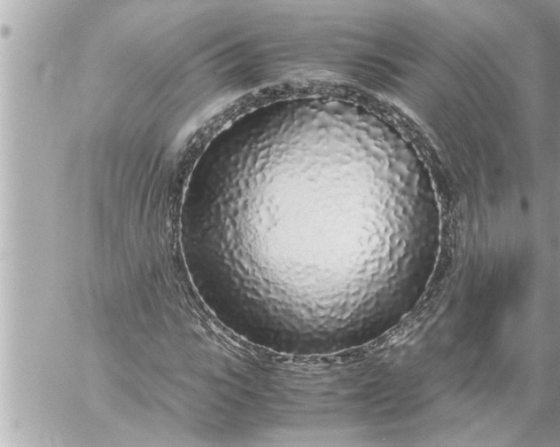 X0000059850919200511111807