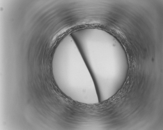 X0000059850920200511111807