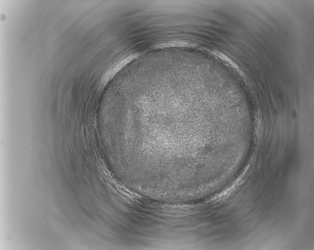 X0000059850921200511111807