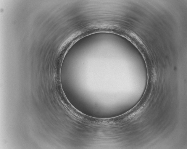 X0000059850922200511111807