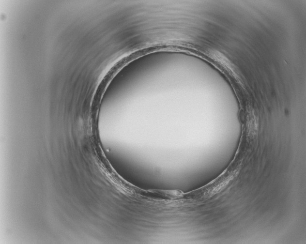 X0000059850924200511111807