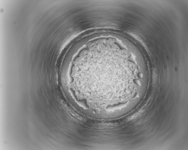 X0000059850925200511111807