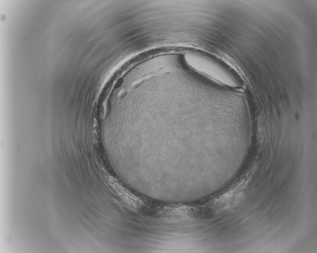 X0000059850926200511111807