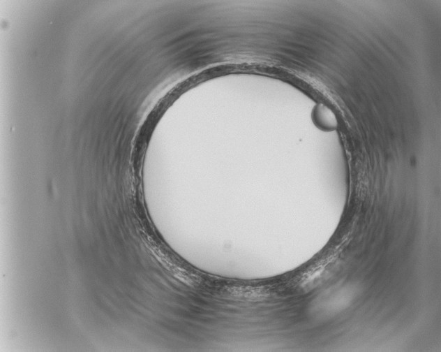 X0000059850927200511111807