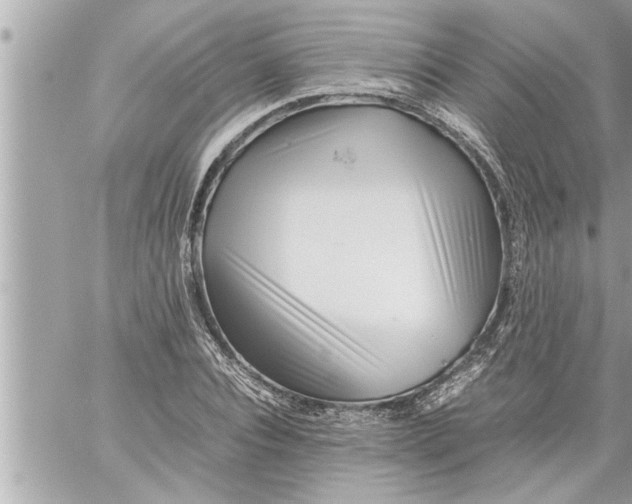 X0000059850928200511111807