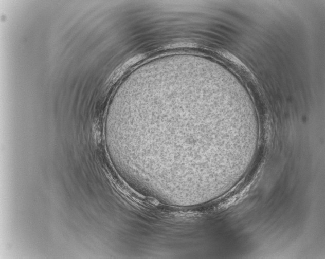 X0000059850929200511111807