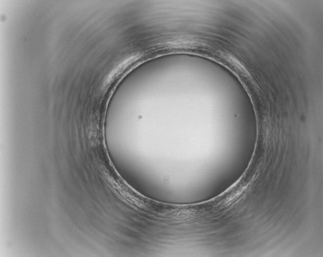 X0000059850930200511111807