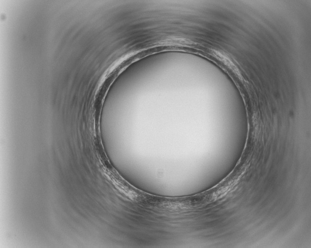 X0000059850931200511111807