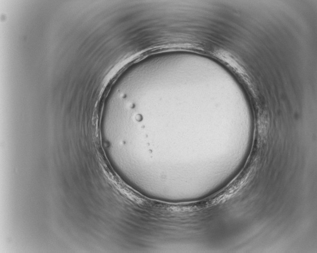 X0000059850933200511111807