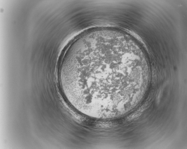 X0000059850935200511111807