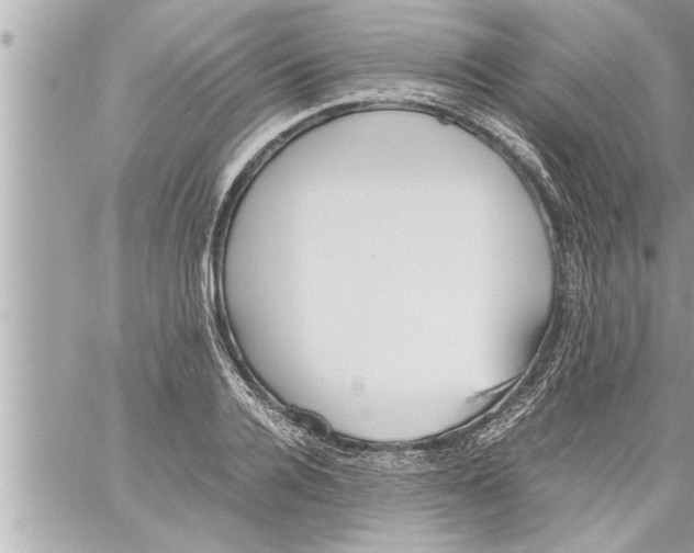 X0000059850936200511111807