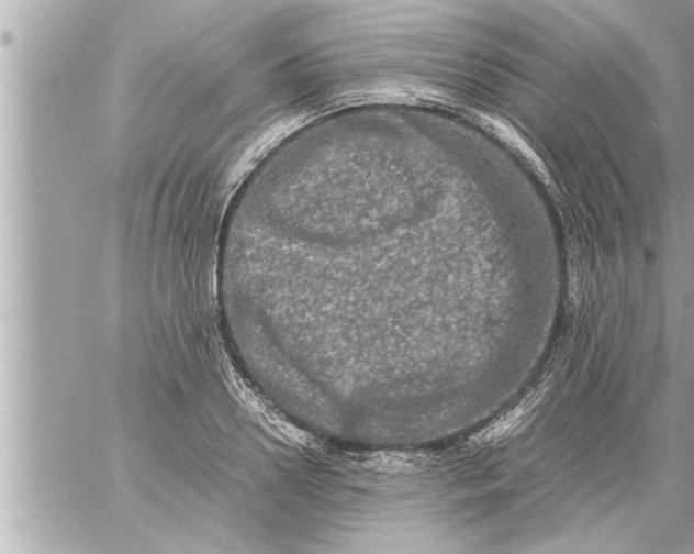 X0000059850938200511111807