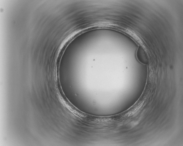 X0000059850939200511111807