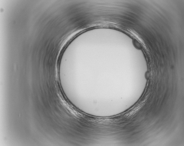 X0000059850940200511111807