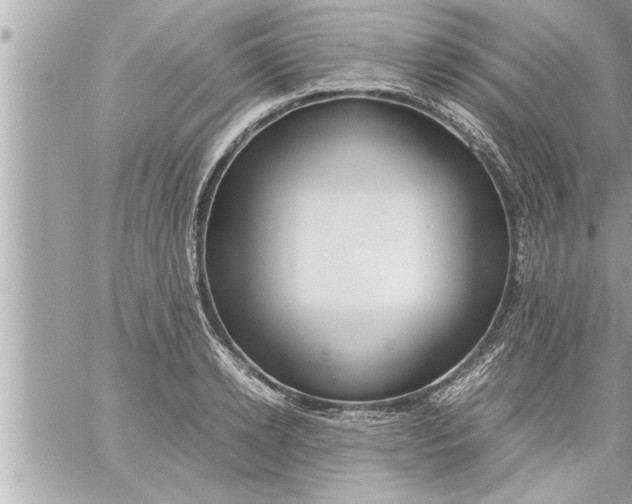 X0000059850942200511111807