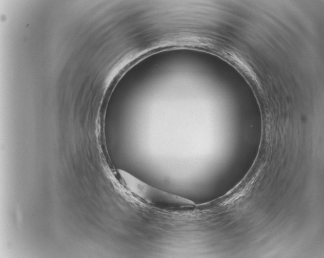 X0000059850944200511111807