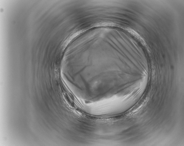 X0000059850945200511111807