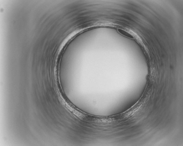 X0000059850947200511111807