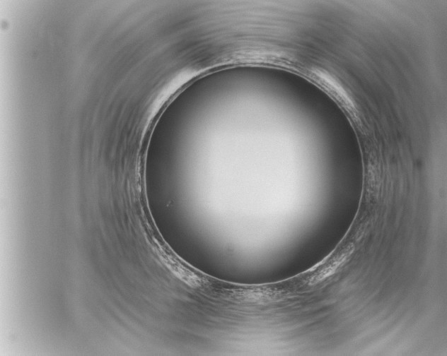 X0000059850948200511111807