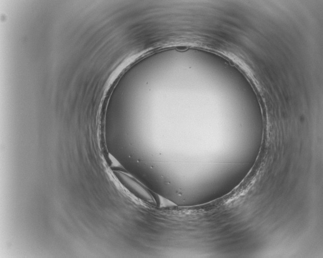 X0000059850949200511111807