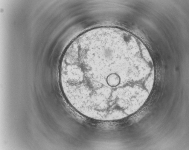 X0000059850950200511111807