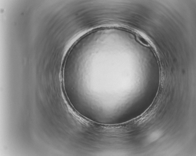 X0000059850951200511111807