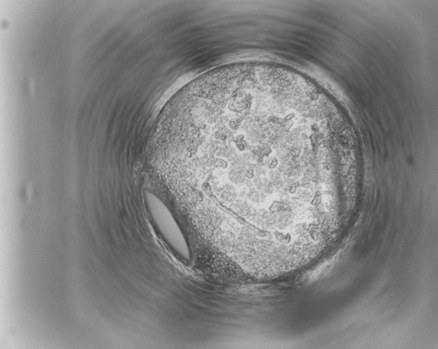 X0000059850953200511111807