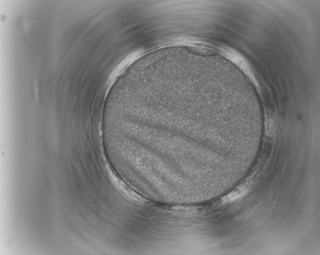 X0000059850954200511111807