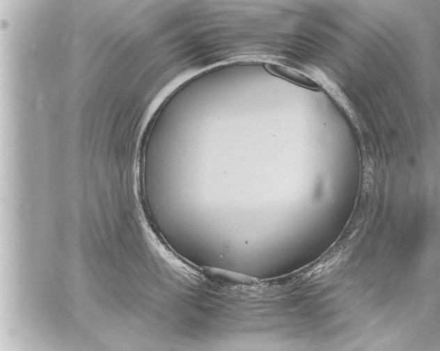 X0000059850955200511111808