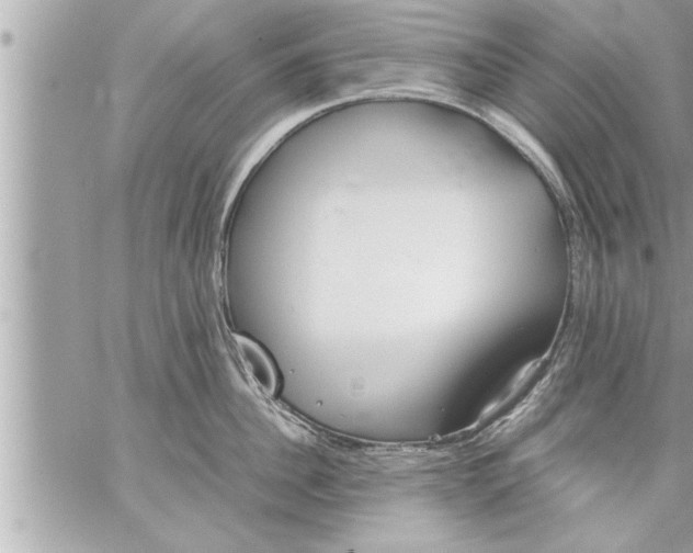 X0000059850956200511111808