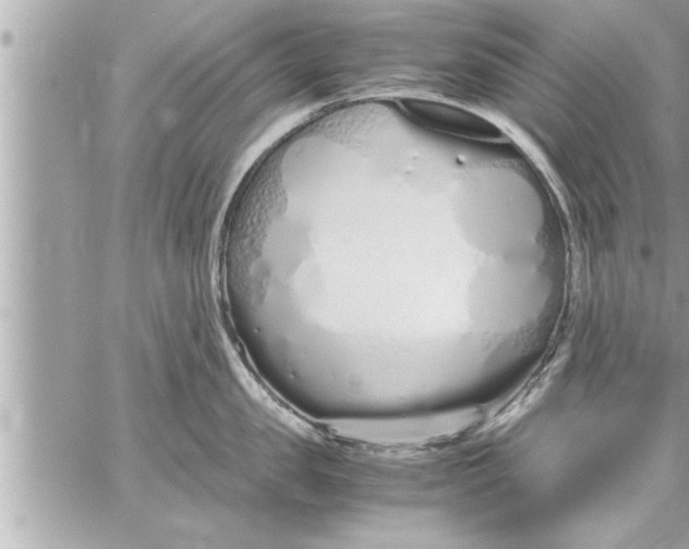 X0000059850957200511111808