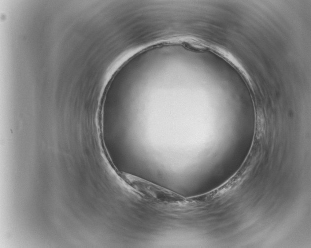 X0000059850959200511111808