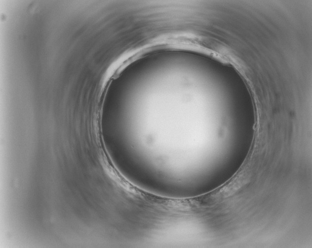 X0000059850960200511111808