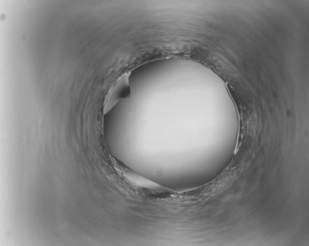 X0000059850961200511111807