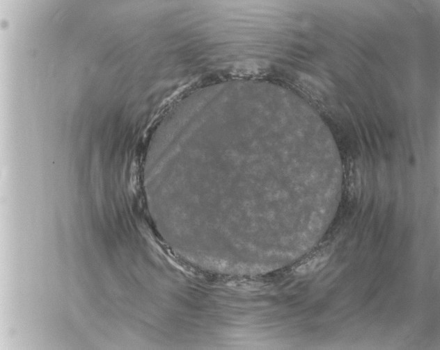 X0000059850962200511111807